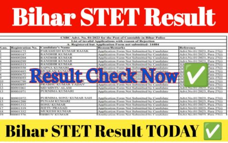 Bihar BSEB STET Result 2024